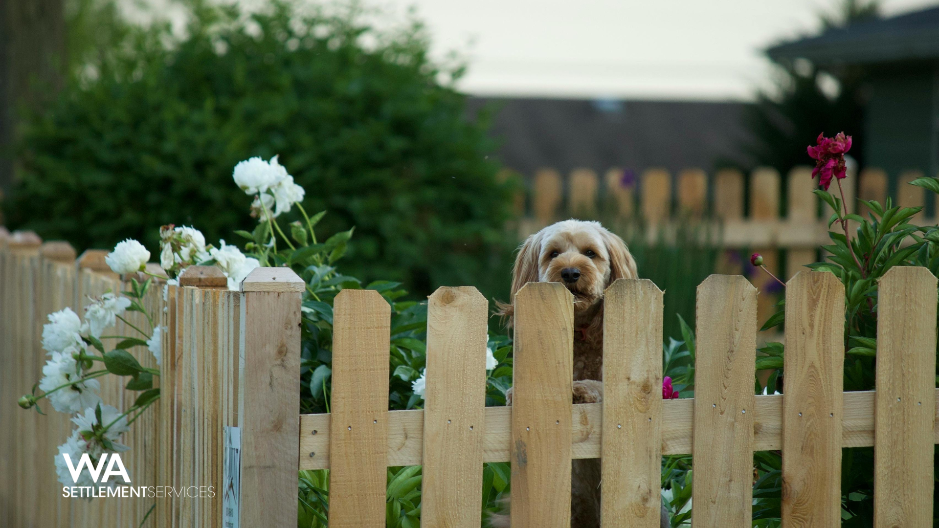 Read more about the article How to Handle Property Disputes in WA and When to Seek Legal Help